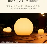 SUN LIGHT BALL20(サンライトボール20)