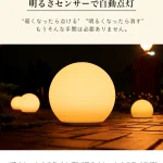 SUN LIGHT BALL30(サンライトボール30)