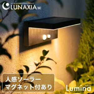 8/1昼専用 31DAo7ULFDL._SX240_SY220_CR,0,