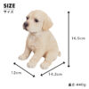 ちょこんと座るわんこ《ラブラドール（16.5cm）》 - 画像 (9)