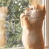 おねだりするわんこ《柴犬（21cm）》 - 画像 (6)