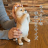 おねだりするわんこ《柴犬（21cm）》 - 画像 (8)