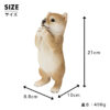 おねだりするわんこ《柴犬（21cm）》 - 画像 (9)
