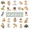 おねだりするわんこ《柴犬（21cm）》 - 画像 (11)