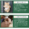 にゃんこの親子《サバトラ（25cm）》 - 画像 (3)