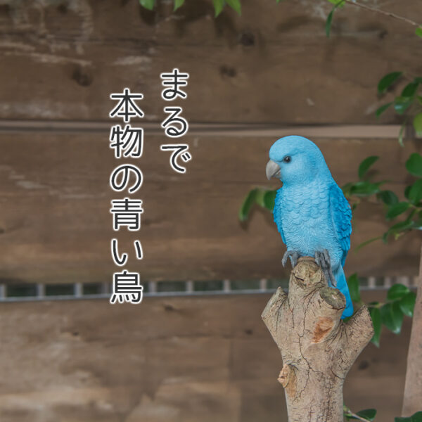 縁に留まる青い鳥《オウム（23cm）》 - 画像 (5)