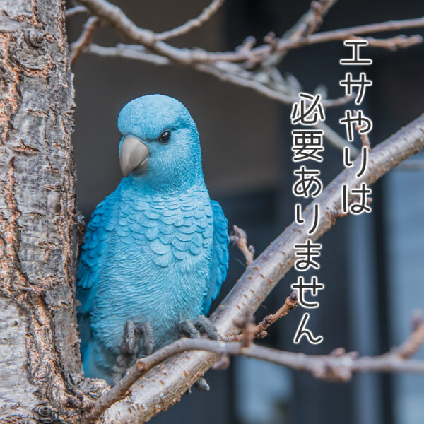 縁に留まる青い鳥《オウム（23cm）》 - 画像 (6)