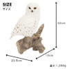木に留まるシロフクロウ《白梟（32cm）》 - 画像 (9)