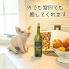 手を揃えてお座りする子ブタ《 ミニブタ（29.5cm）》 - 画像 (5)