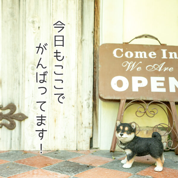 横を向いた子供のわんこ《 黒柴犬 18cm》