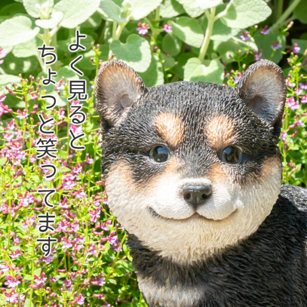横を向いた子供のわんこ《 黒柴犬 18cm》