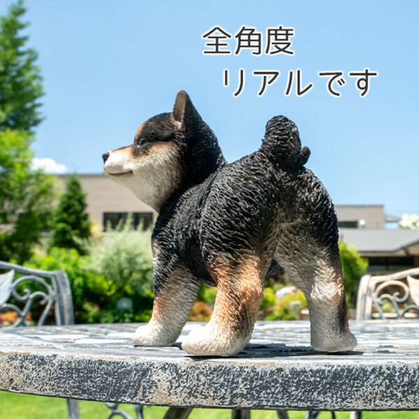 横を向いた子供のわんこ《 黒柴犬 18cm》