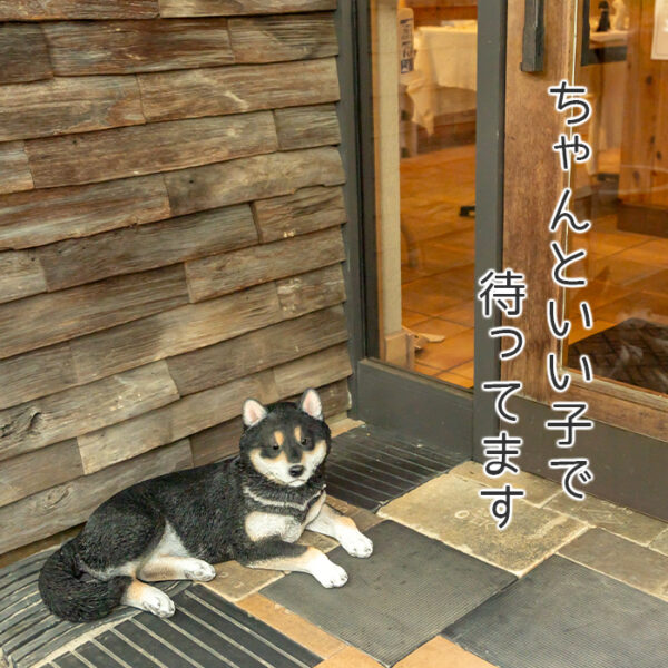 リラックスしているわんこ《 黒柴犬 28.5cm》