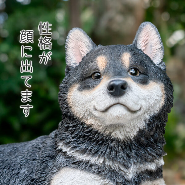 リラックスしているわんこ《 黒柴犬 28.5cm》