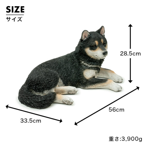 リラックスしているわんこ《 黒柴犬 28.5cm》