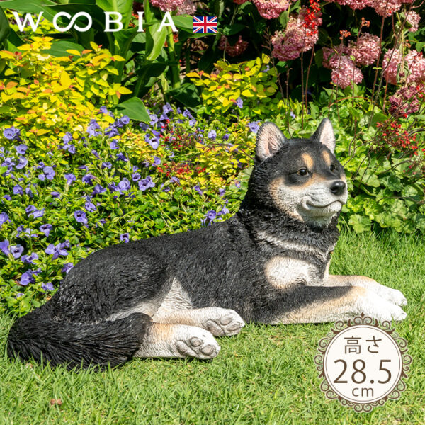 リラックスしているわんこ《 黒柴犬 28.5cm》