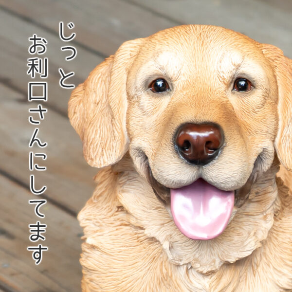 横になって笑ってるわんこ《 ゴールデンレトリバー 35.5cm》