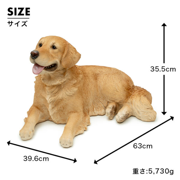 横になって笑ってるわんこ《 ゴールデンレトリバー 35.5cm》