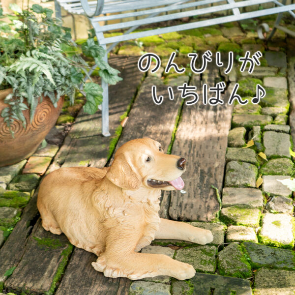 横になって笑ってるわんこ《 ゴールデンレトリバー 35.5cm》
