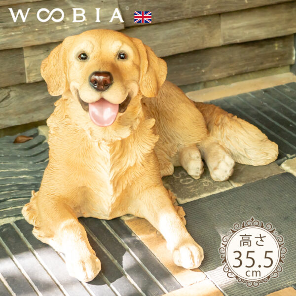 横になって笑ってるわんこ《 ゴールデンレトリバー 35.5cm》