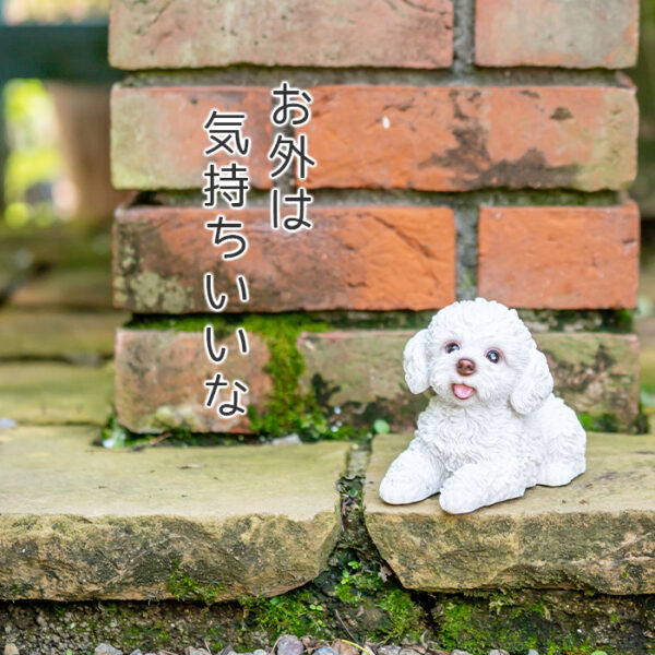 伏せして見上げるわんこ《 トイプードル 白 11cm》