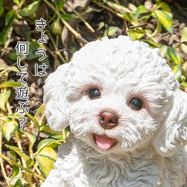 伏せして見上げるわんこ《 トイプードル 白 11cm》