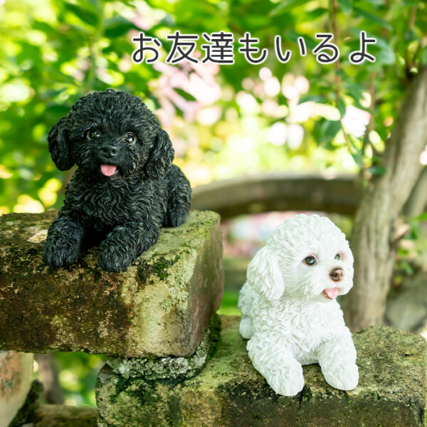 伏せして見上げるわんこ《 トイプードル 白 11cm》