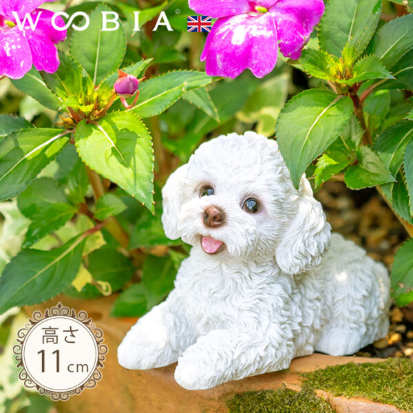 伏せして見上げるわんこ《 トイプードル 白 11cm》