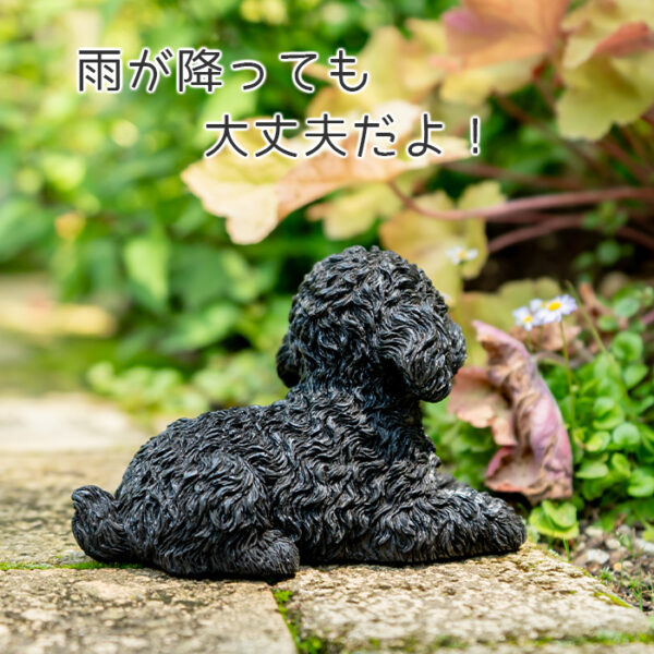 伏せして見上げるわんこ《 トイプードル 黒 11cm》
