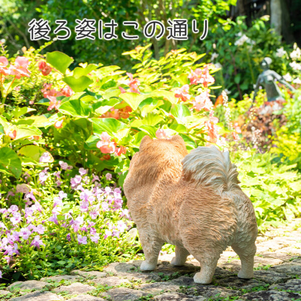 立ち上がって喜ぶわんこ《 ポメラニアン 29.5cm》