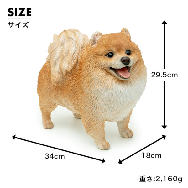 立ち上がって喜ぶわんこ《 ポメラニアン 29.5cm》