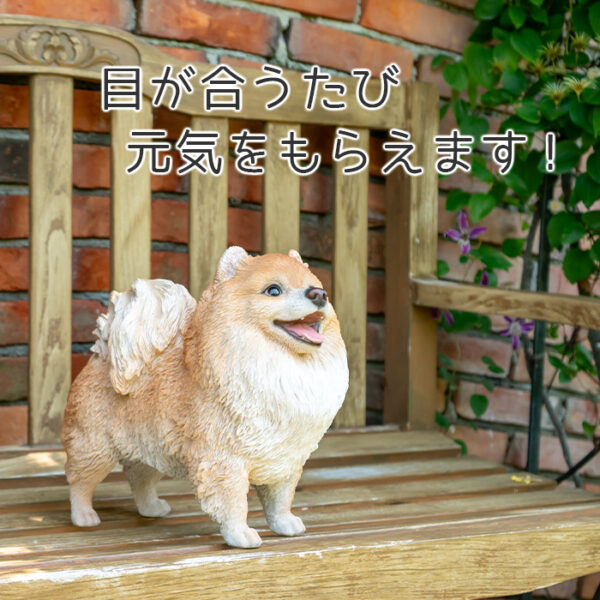 立ち上がって喜ぶわんこ《 ポメラニアン 29.5cm》