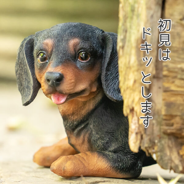 遊んでいる子供のわんこ《 ダックスフンド 11cm》