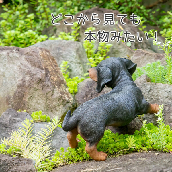 遊んでいる子供のわんこ《 ダックスフンド 11cm》