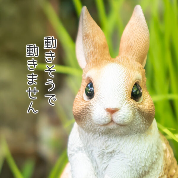 立ち上がったうさぎ《 オランダドワーフ 13.5cm》 - 画像 (6)