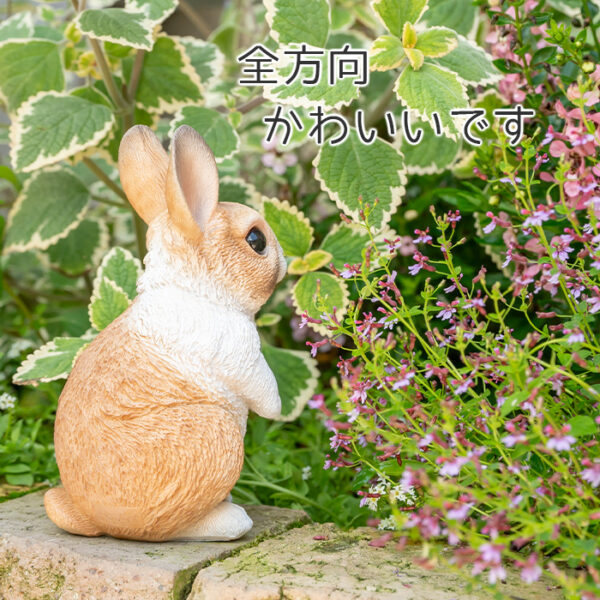 立ち上がったうさぎ《 オランダドワーフ 13.5cm》 - 画像 (7)