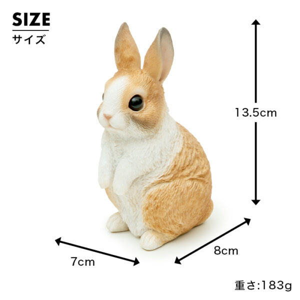 立ち上がったうさぎ《 オランダドワーフ 13.5cm》 - 画像 (9)
