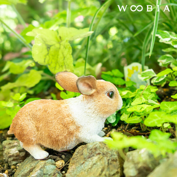前を向いているうさぎ《 オランダドワーフ 9.8cm》 - 画像 (4)