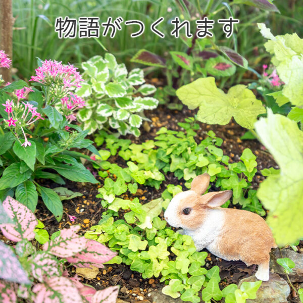 前を向いているうさぎ《 オランダドワーフ 9.8cm》 - 画像 (5)