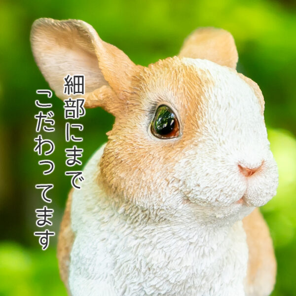 前を向いているうさぎ《 オランダドワーフ 9.8cm》 - 画像 (6)