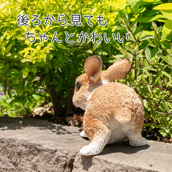 前を向いているうさぎ《 オランダドワーフ 9.8cm》 - 画像 (7)