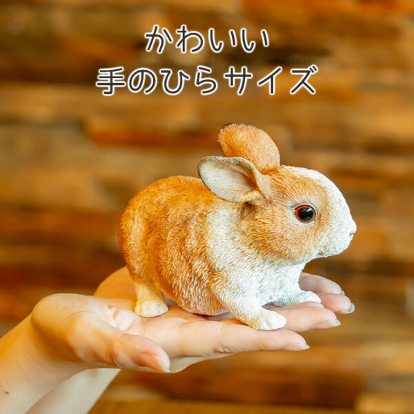 前を向いているうさぎ《 オランダドワーフ 9.8cm》 - 画像 (8)