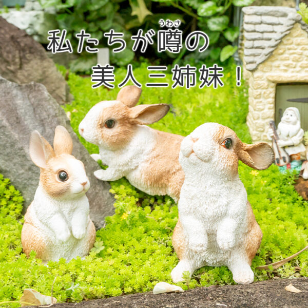 前を向いているうさぎ《 オランダドワーフ 9.8cm》 - 画像 (10)