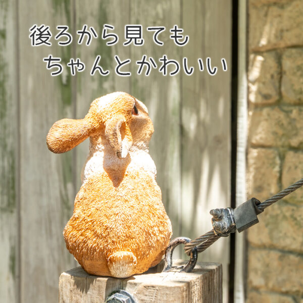 上を向いたうさぎ《 オランダドワーフ 14cm》 - 画像 (7)