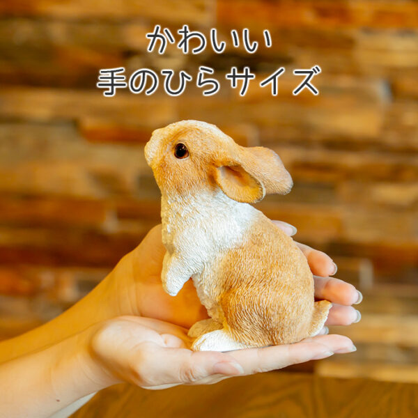 上を向いたうさぎ《 オランダドワーフ 14cm》 - 画像 (8)