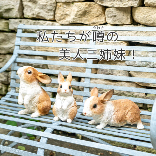 上を向いたうさぎ《 オランダドワーフ 14cm》 - 画像 (10)