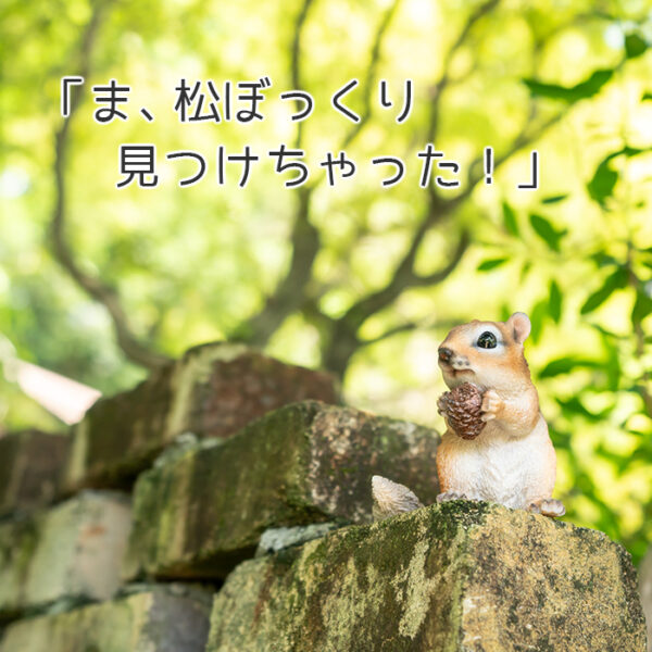 松ぼっくりを抱えるリス《 シマリス 9.7cm》 - 画像 (5)