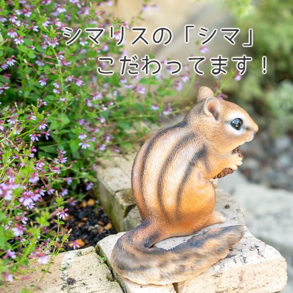 松ぼっくりを抱えるリス《 シマリス 9.7cm》 - 画像 (7)