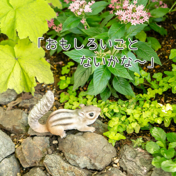 何かに気づいたリス《 シマリス 11.7cm》 - 画像 (5)