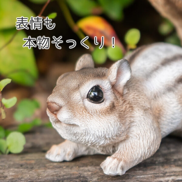 何かに気づいたリス《 シマリス 11.7cm》 - 画像 (6)
